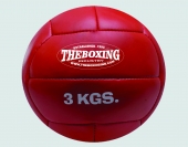 EXERCISE BALL/MEDICINE BALL